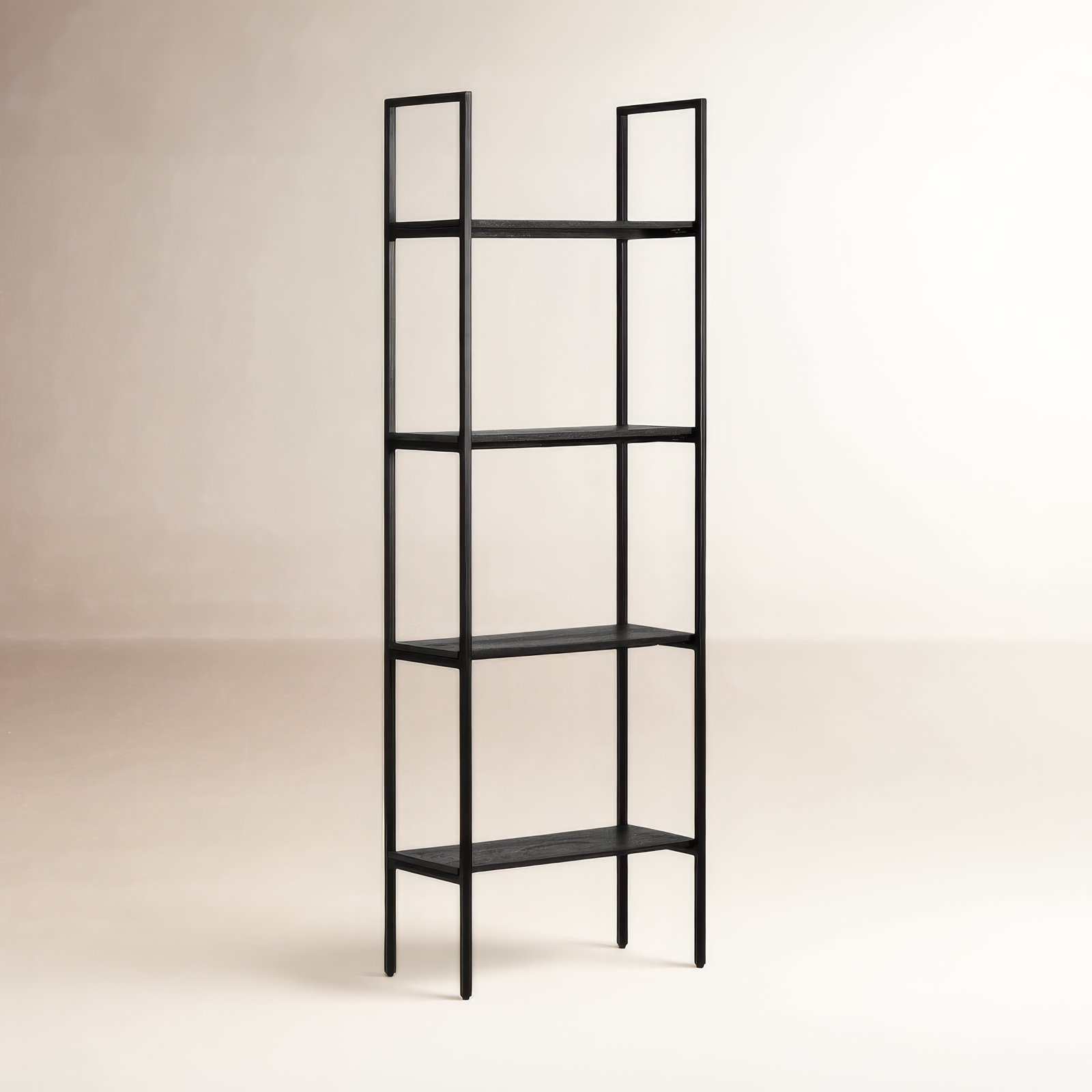 Soleil 24" Mango Bookcase, Black