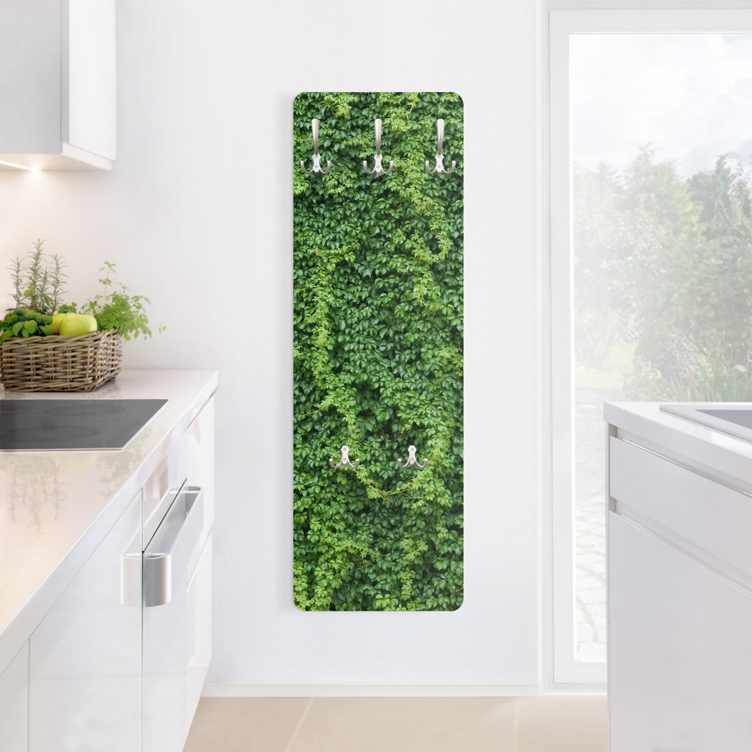 Mclaughlin 5 - Hook Wall Mounted Coat Rack in Green
