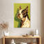 Boston-terrier-108393091