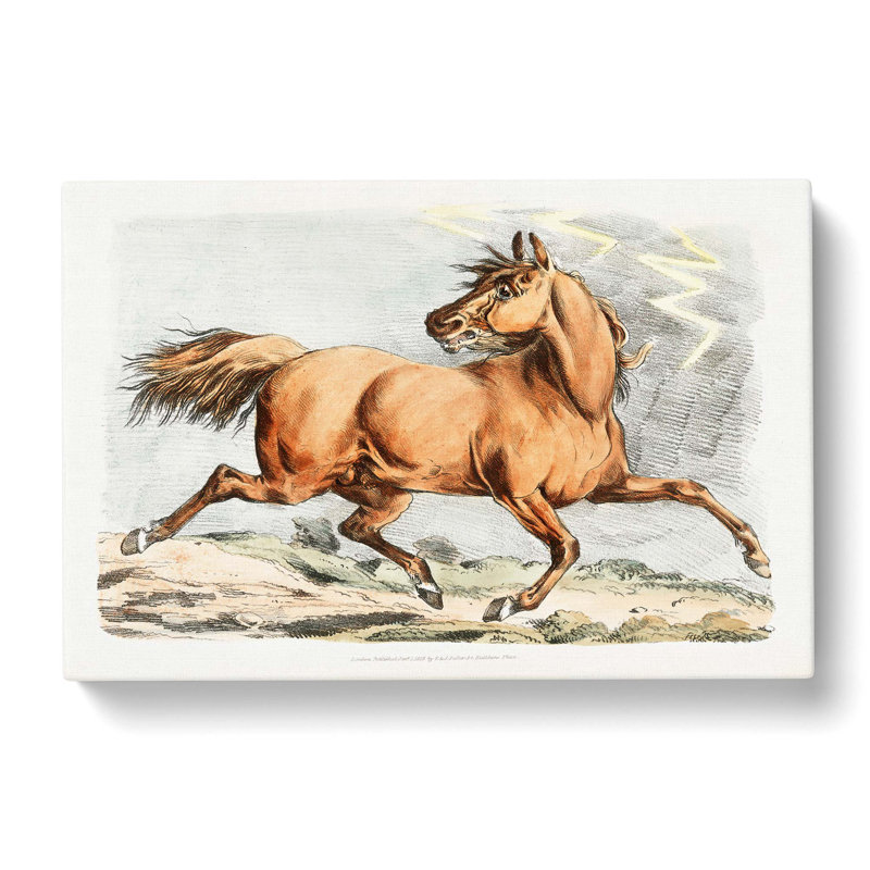 Running Horse by Henry Alken - Wrapped Canvas Print, 35cm H x 50cm W x 3cm D