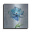 Winston Porter «Floral Bloom 2 V2» par Danhui Nai, art mural en métal-176257736