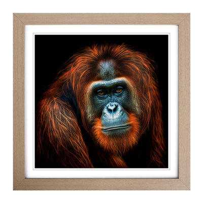 Orangutan Digital Art - Framed Print