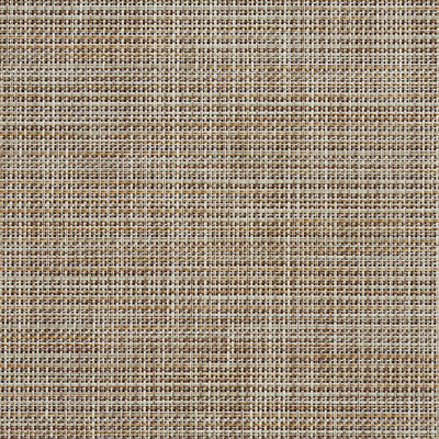 SAMPLE-Sling Mesh Vinyl Fabric