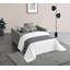 Gwendolynne 2 Seater Chenille Sofa Bed-88626255