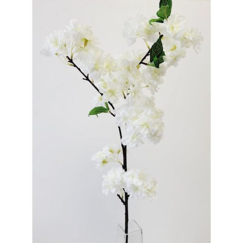 Jet de fleurs de cerisier, Crème