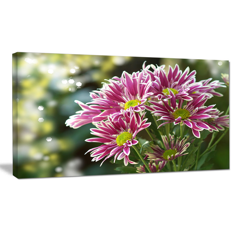 « purple chrysanthemum fleur », reproduction de photo sur toile tendue, H 16 po x l 32 po x P 1 po
