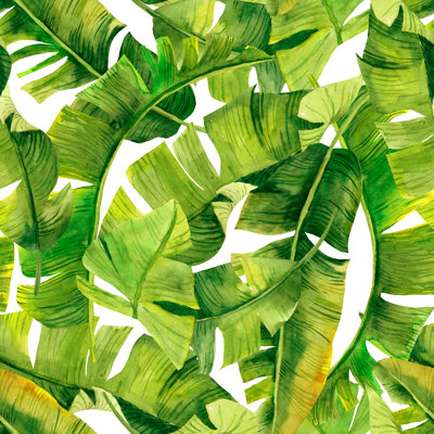 Feuilles de palmier vert Apogee