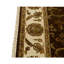Oriental Area Rug