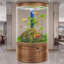 Réservoir d'aquarium moderne en acrylique 105-115 gallons-129447222-129447221