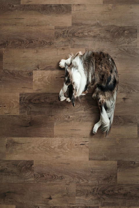 Award-winning ADURA® LVT