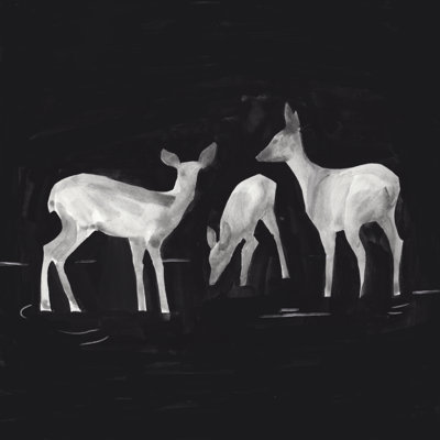 Sophisticated Whitetail I 1 Piece Wrapped Canvas Painting
