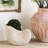 Modern Planter, Nautilus Shell Shape Planter
