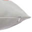 Guthfast Multicolour Square Cushion