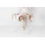 Brabantia Hangon 25 m Folding Drying Rack-100078676