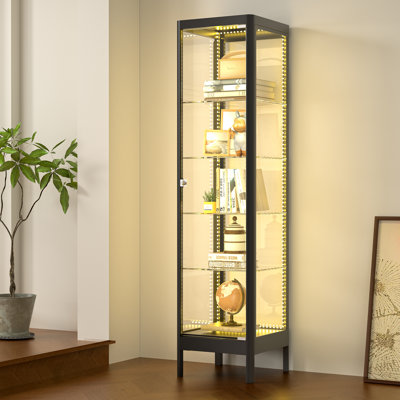 63" H Metal Display Cabinet Tempered Glass Curio Cabinet with Adjustable Shelves, RGB Lighting, Lockable by Wrought Studio
