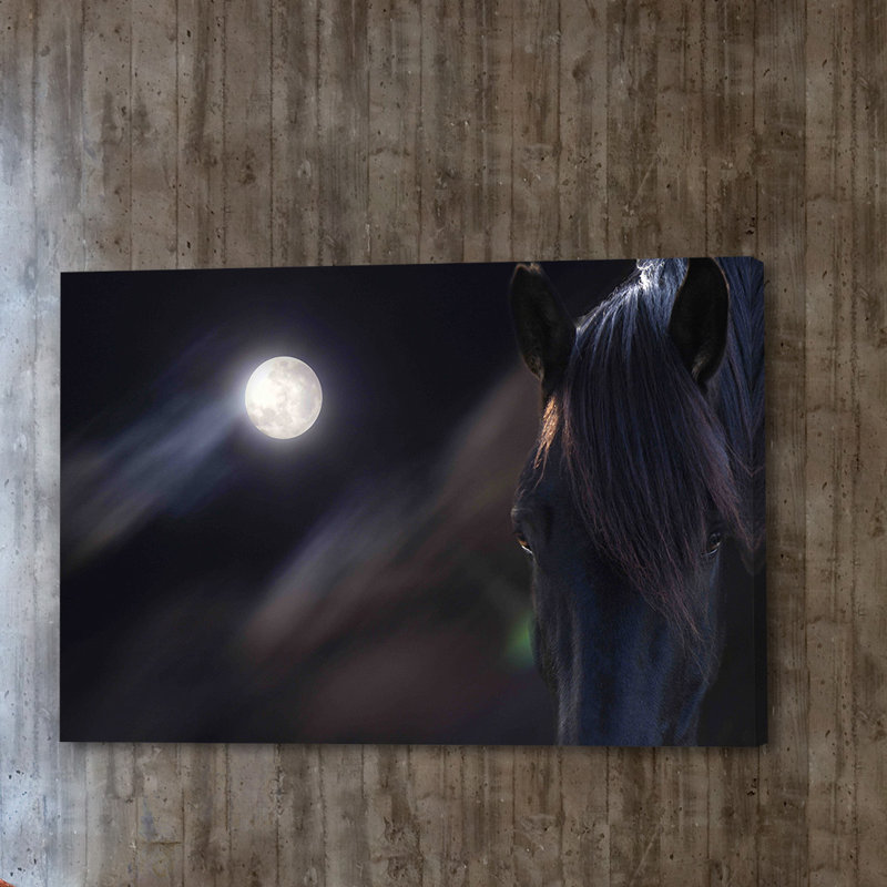 Circle Of Life by Maggie Dee - Wrapped Canvas Print, 101cm H x 152cm W