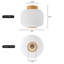 Glass Flush Mount-2020038608