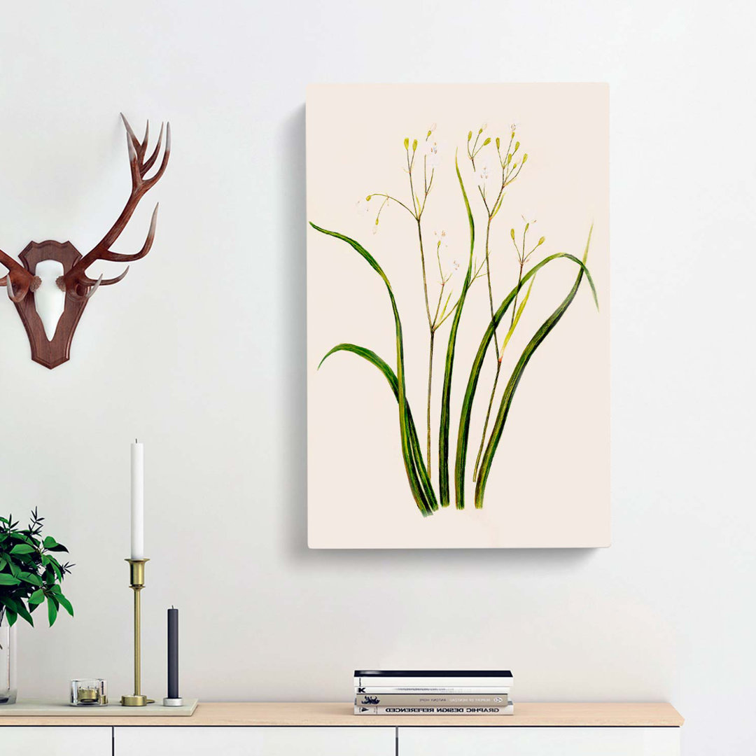 Tukautei Flowers by Sarah Featon - Wrapped Canvas