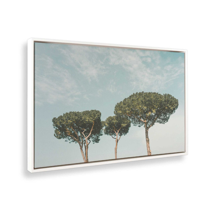 «Tall Tranquility», reproduction sur toile, Cadre flottant blanc opaque, H 12,75 po x l 18,75 po x P 1,75 po