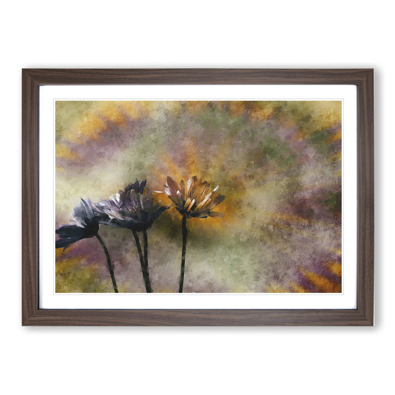 Three Daisies - Picture Frame Graphic Art, 27cm H x 36cm W x 2cm D, Walnut