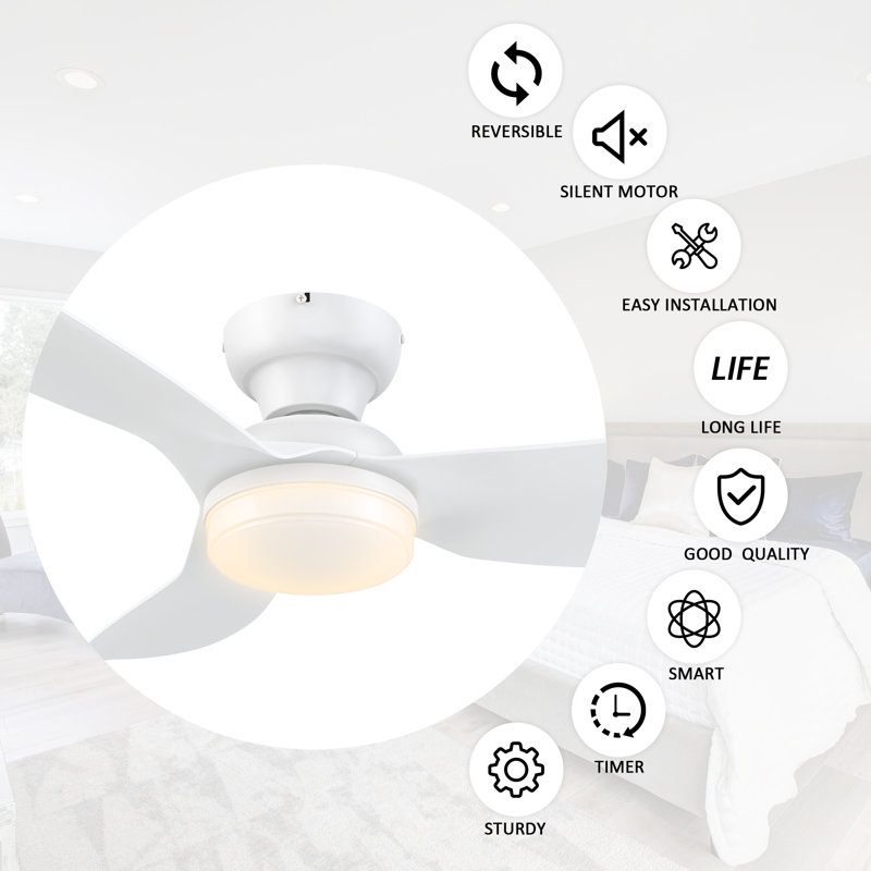 Eirena 45'' Ceiling Fan with LED Lights
