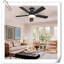 Museau Ceiling Fan with LED Lights-1296196710