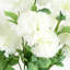 70cm Pink Carnation Stem-89222330