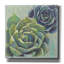 "Epic Graffiti" Succulents 1 "par Wellington Studio, art mural sur toile-106171862