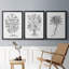 Toile encadrée de qualité supérieure B&W Plant Spechantillon I - prête à être accrochée-69981803-69981805