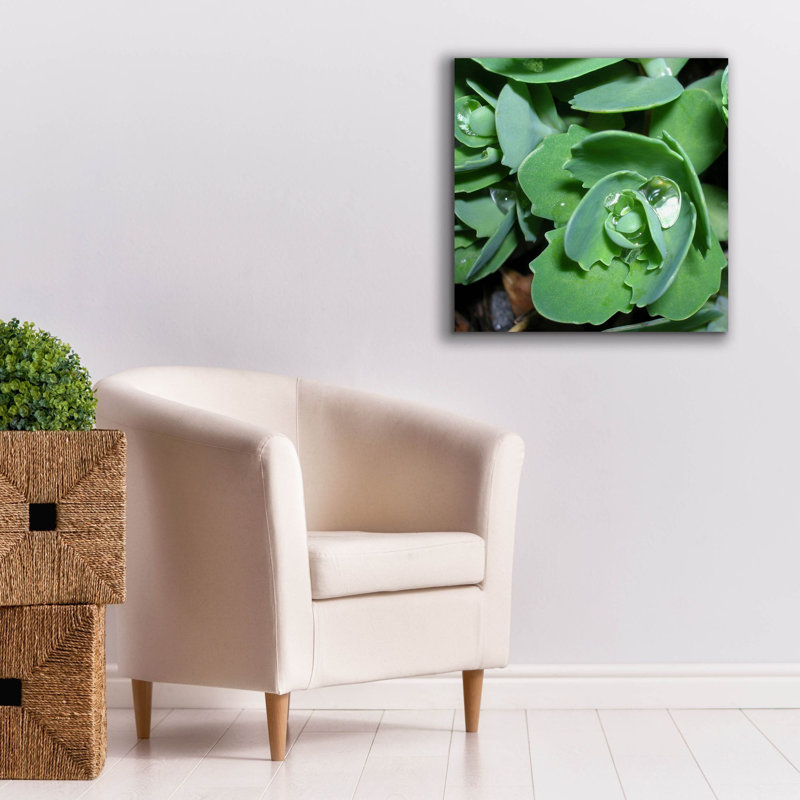«Succulence 2» par Alicia Ludwig, art mural sur toile, H 26 po x l 26 po x P 1,5 po
