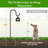 Feeding Station-485013930