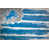 Detroit Lions