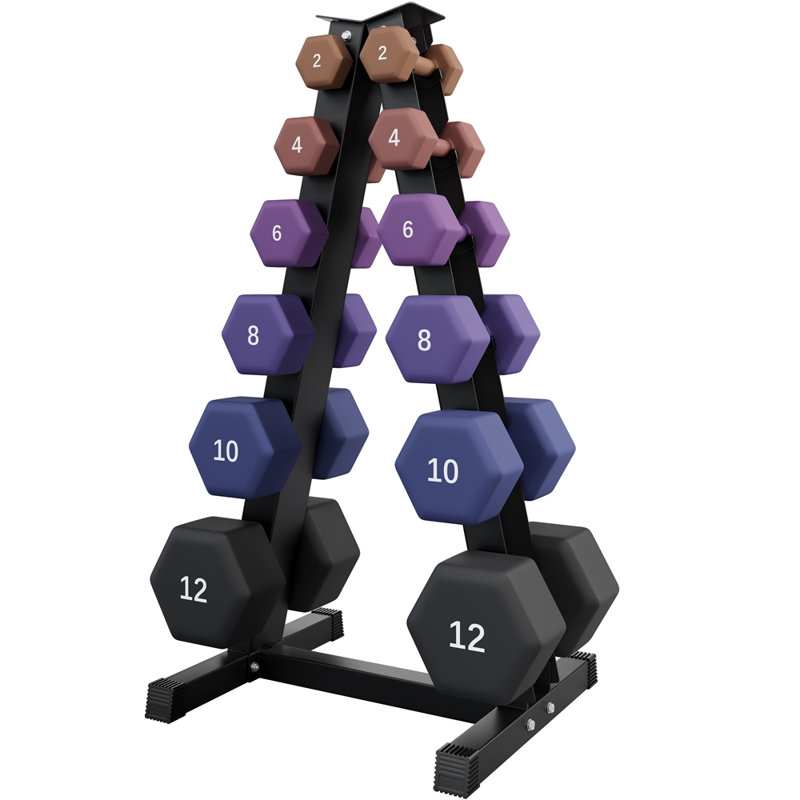 A-Frame Heavy Duty Metal Dumbbell Rack Space Saving Weight Organizer for Home Gym, 6