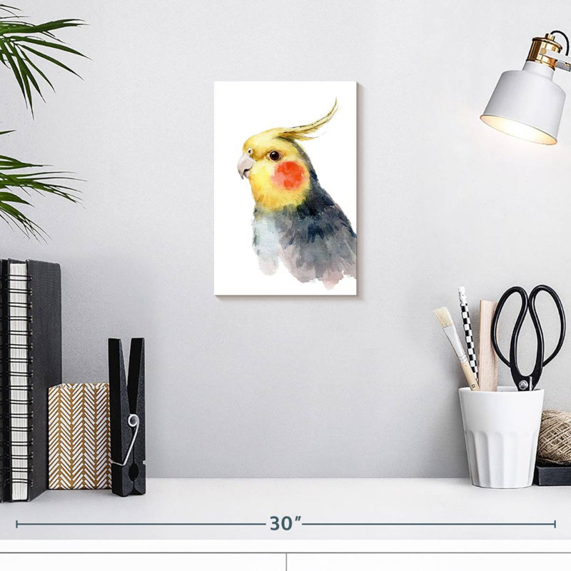 Brampt Cute Parakeet, 12" H x 8" W