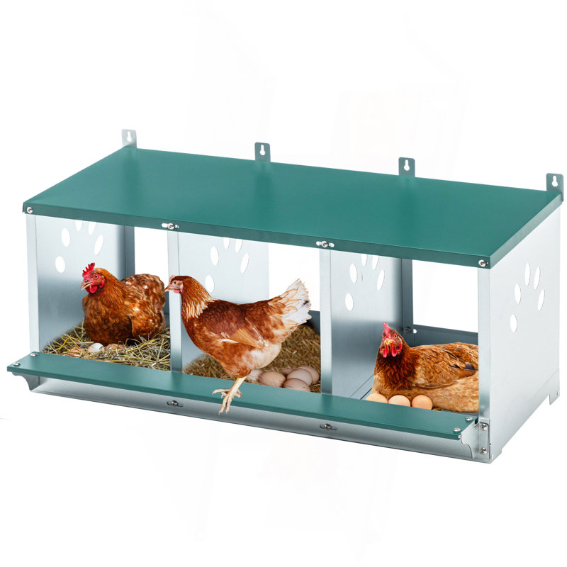 Boîtes de nidification en métal pour poulet, boîte de nidification à 3 compartiments, boîtes de nidification en acier galvanisé pour poules, facile à assembler