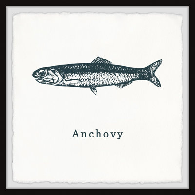 Thame Anchovy And Salmon A by Marmont Hill - Single Picture Frame Print