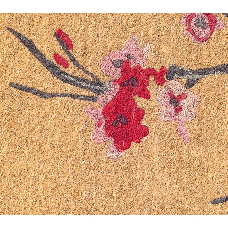 Paillasson Aleca, 18'' x 30'' Non-Slip