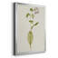 Mauve Garden Flowers IV, reproduction encadrée de qualité supérieure - prête à être accrochée-411093904-411093907-411049020