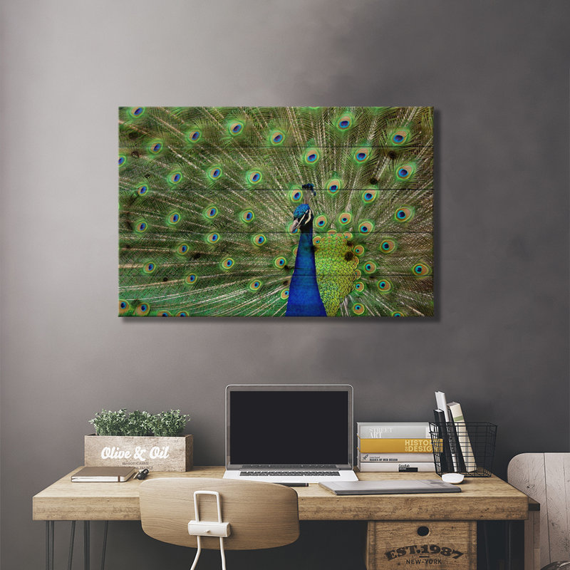 " Peacock Feathers " by Unknown Artist, Wrapped Canvas, 18" H x 26" W x 1.5" D