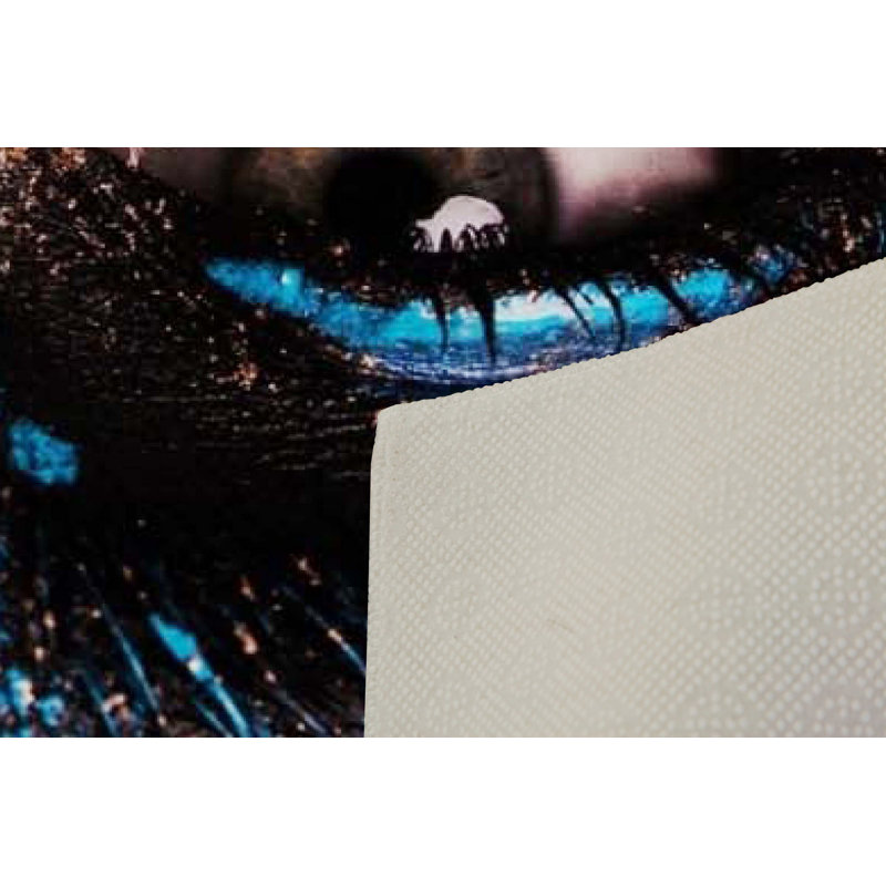 Tapis d'entrée de qualité supérieure, 31,5 po x 59,1 po | 100% polyester, hauteur des poils de 0,4 po, antibactérien et envers en PVC antidérapant | Conception tissée avec impression numérique 3D, lavable à la machine, idéale pour la décoration intérieure et les vestibules
