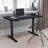 Electric Height Adjustable Standing Desk with 48"W x 24"D Table Top-1752012556