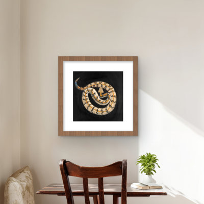 Southern Timber Rattlesnake - Modern Wildlife, reproduction encadrée