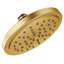 Fina Premium Rain Shower Head-425286735