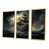 Gold Floater Framed selected