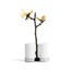 Butterfly Ginkgo Salt And Pepper Shaker Set