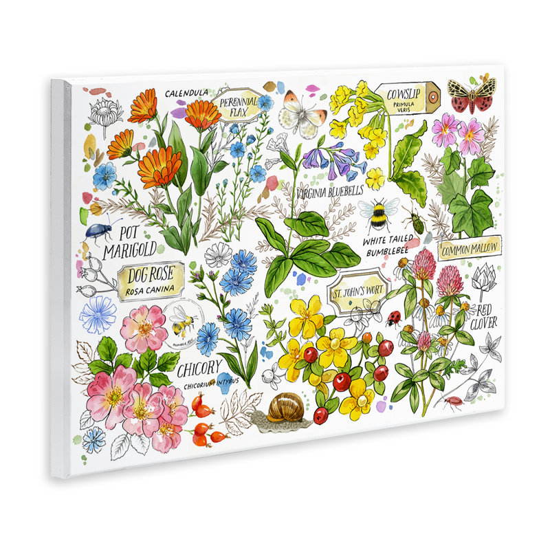 "Diverses herbes", art mural par Jane Maday, H 13 po x l 19 po