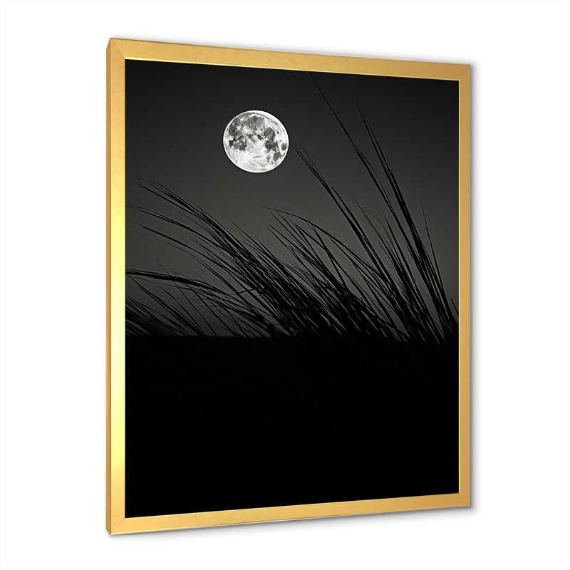 Ivoire, isolement au clair de lune, Cadre doré simple, H 32 po x l 24 po x P 1 po