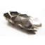 Terrapin Silver Metal Tile