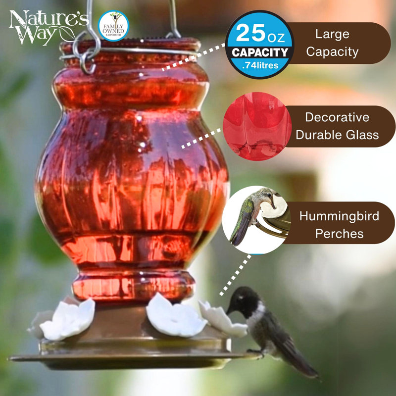 Mangeoire en verre Ruby Visions
