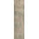 Apollus Chenille Washable Oriental Indoor / Outdoor Rug